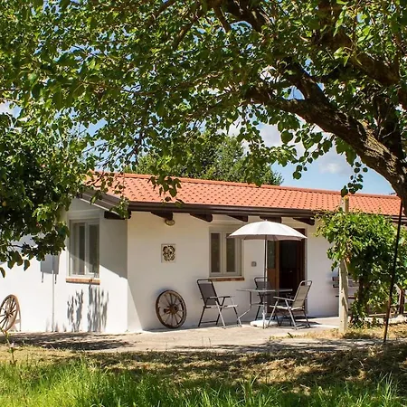 La Casina Nel Frutteto Tatil Evi Castelnuovo Cilento