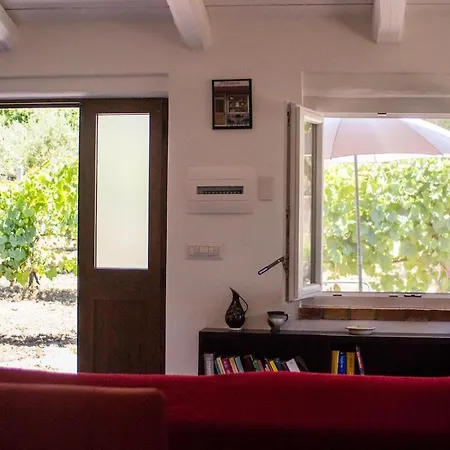 La Casina Nel Frutteto Tatil Evi *