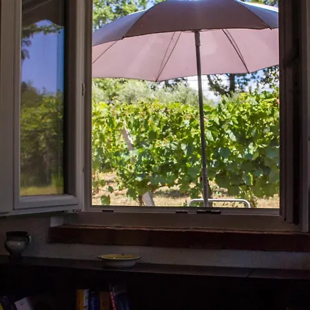 La Casina Nel Frutteto Tatil Evi *